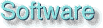 Software von WSE